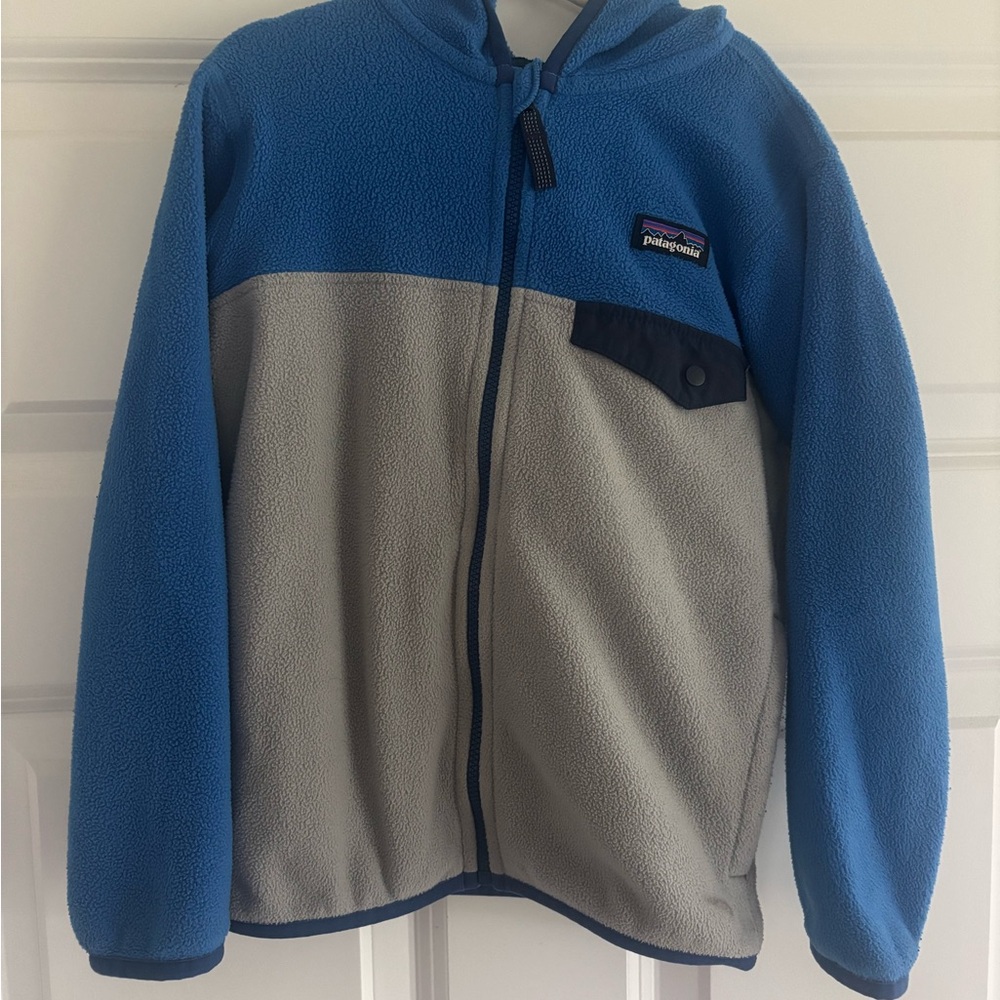 VGUC Patagonia Micro D Snap Fleece